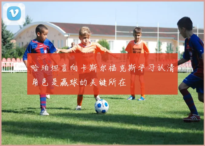 哈珀坦言向卡斯尔福克斯学习认清角色是赢球的关键所在